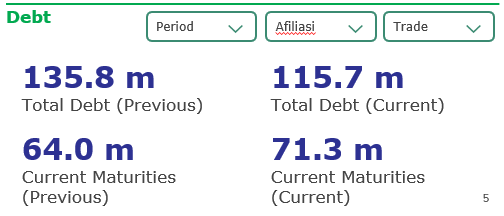 Tangkapan Layar Asli Widget 5 — Debt Numeric Point Charts