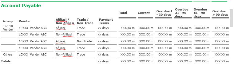 Tangkapan Layar Asli Widget 1 — Accounts Payable Table